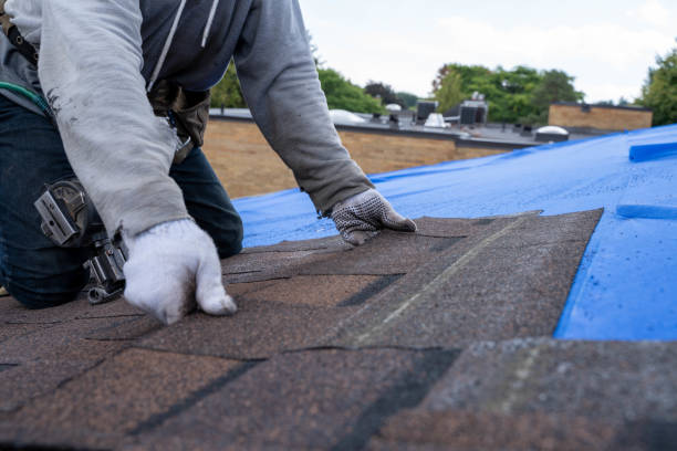 Roof Gutter Cleaning in Terre Haute, IN