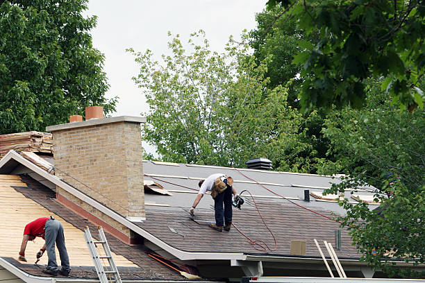 Best Residential Roofing Contractor  in Terre Haute, IN