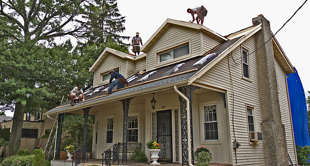 Best Residential Roofing Contractor  in Terre Haute, IN