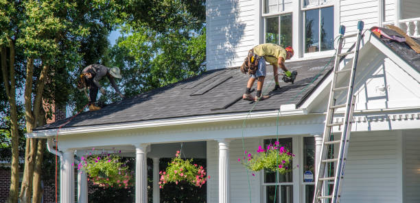 Best Flat Roof Repair Services  in Terre Haute, IN